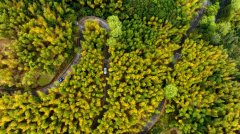 如正在浙江一场小众景点玩耍之旅