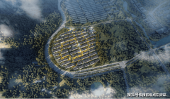 式：和谈（如200-250万／亩）、投标（提出底价